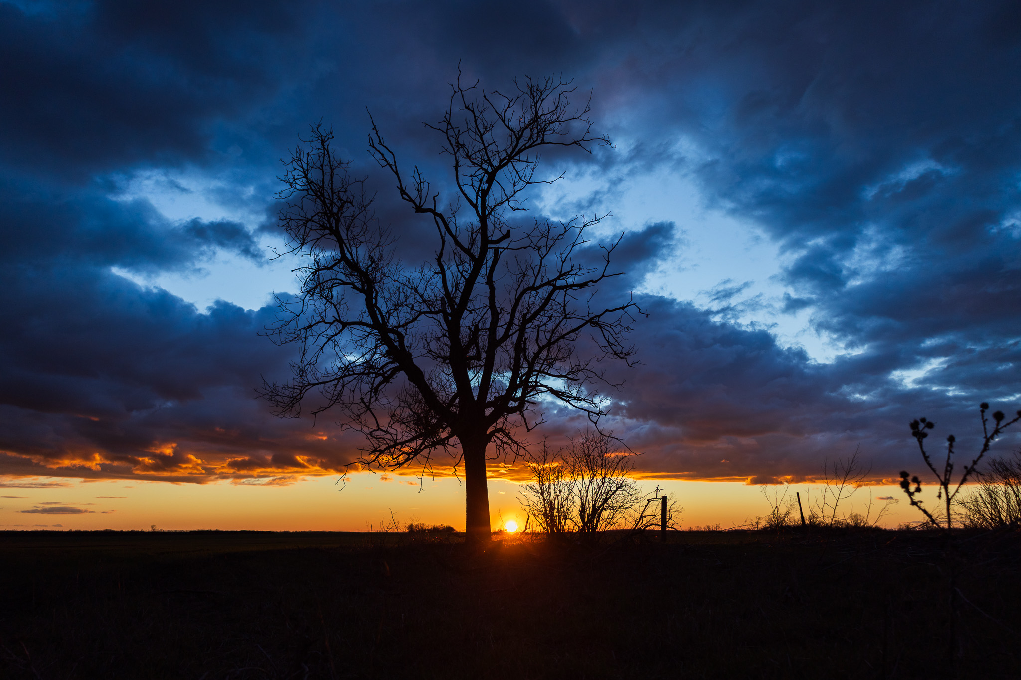 Nagy Panka Photography hero kép 2