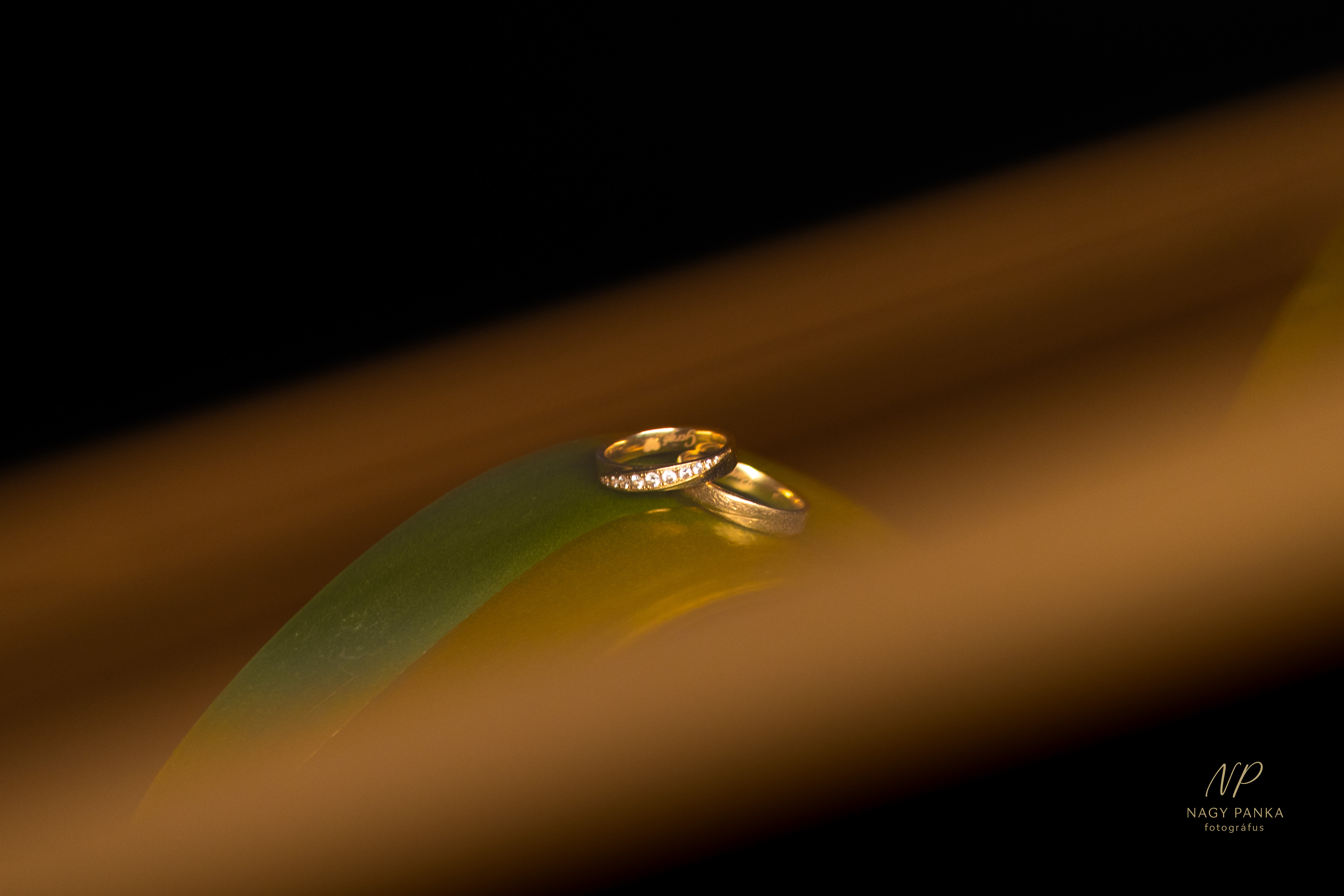 Természetfotók hero kép