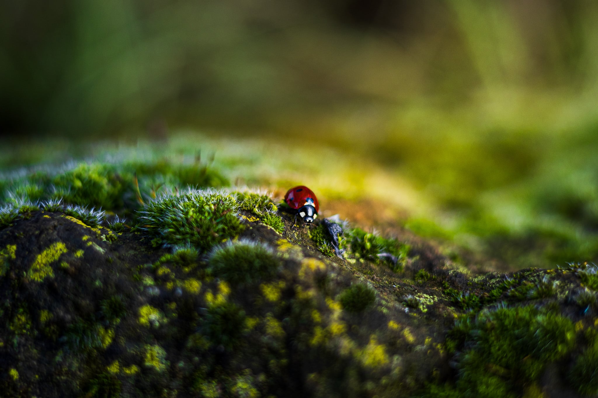 Természetfotók hero kép